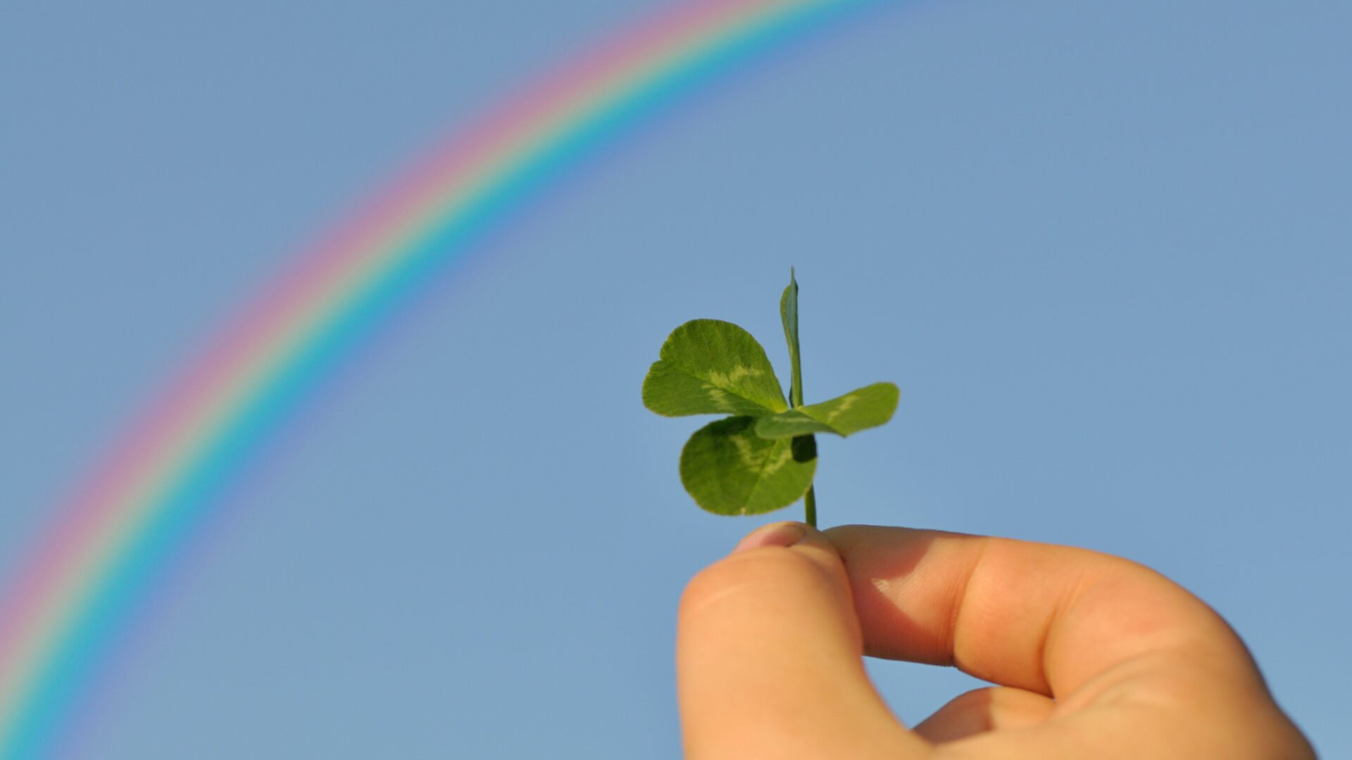 四葉のクローバーを空にかざし、空には虹がかかっている